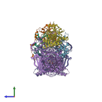 PDB entry 3nvy coloured by chain, side view.