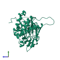 Insulin-like growth factor 1 receptor beta chain in PDB entry 3nw6, assembly 1, side view.