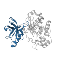 The deposited structure of PDB entry 3nw7 contains 1 copy of CATH domain 3.30.200.20 (Phosphorylase Kinase; domain 1) in Insulin-like growth factor 1 receptor beta chain. Showing 1 copy in chain A.