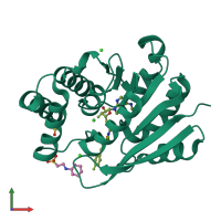 PDB entry 3nwb coloured by chain, front view.