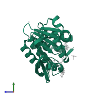Catechol O-methyltransferase in PDB entry 3nwb, assembly 1, side view.