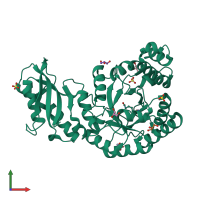 PDB entry 3nwr coloured by chain, front view.