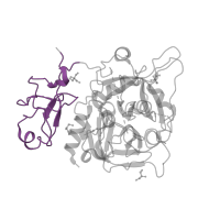 The deposited structure of PDB entry 3nxp contains 1 copy of Pfam domain PF00051 (Kringle domain) in Prothrombin. Showing 1 copy in chain A.