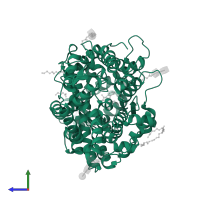 Angiotensin-converting enzyme, soluble form in PDB entry 3nxq, assembly 2, side view.