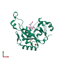 PDB entry 3ny6 coloured by chain, front view.