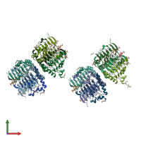 PDB entry 3nz2 coloured by chain, front view.