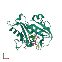 PDB entry 3nzb coloured by chain, front view.