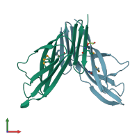 PDB entry 3o0l coloured by chain, front view.