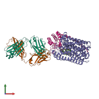 PDB entry 3o0r coloured by chain, front view.
