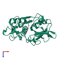 Cathepsin K in PDB entry 3o0u, assembly 1, top view.