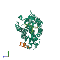 PDB entry 3o1e coloured by chain, side view.