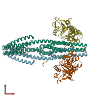 PDB entry 3o1i coloured by chain, front view.