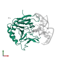 Alpha-ketoglutarate-dependent dioxygenase AlkB in PDB entry 3o1p, assembly 1, front view.