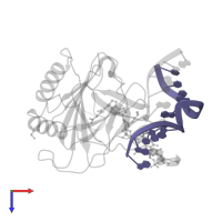 DNA (5'-D(*AP*AP*CP*GP*GP*TP*AP*TP*TP*AP*CP*CP*T)-3') in PDB entry 3o1p, assembly 1, top view.