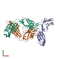 PDB entry 3o2d coloured by chain, front view.