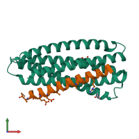 PDB entry 3o42 coloured by chain, front view.