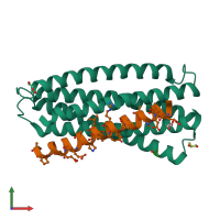 PDB entry 3o43 coloured by chain, front view.