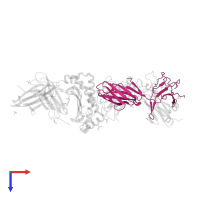 T cell receptor alpha chain constant in PDB entry 3o4l, assembly 1, top view.