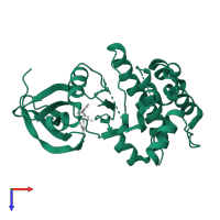 Aurora kinase A in PDB entry 3o50, assembly 1, top view.