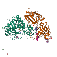 PDB entry 3o5w coloured by chain, front view.