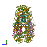 PDB entry 3o62 coloured by chain, side view.