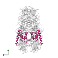 Histone H2B 1.1 in PDB entry 3o62, assembly 1, side view.