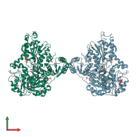 PDB entry 3o8l coloured by chain, front view.