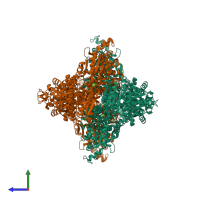 Hetero tetrameric assembly 2 of PDB entry 3o8o coloured by chemically distinct molecules, side view.