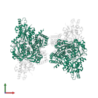 ATP-dependent 6-phosphofructokinase subunit alpha in PDB entry 3o8o, assembly 1, front view.