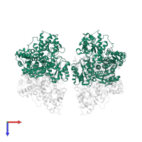 ATP-dependent 6-phosphofructokinase subunit alpha in PDB entry 3o8o, assembly 1, top view.