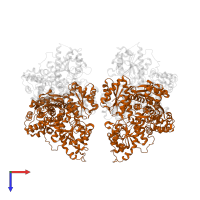 ATP-dependent 6-phosphofructokinase subunit beta in PDB entry 3o8o, assembly 1, top view.