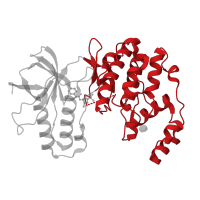 The deposited structure of PDB entry 3o8t contains 1 copy of CATH domain 1.10.510.10 (Transferase(Phosphotransferase); domain 1) in Mitogen-activated protein kinase 14. Showing 1 copy in chain A.