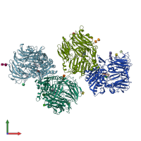 PDB entry 3o95 coloured by chain, front view.