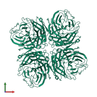 Neuraminidase in PDB entry 3o9k, assembly 1, front view.