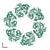 Homo hexameric assembly 2 of PDB entry 3o9p coloured by chemically distinct molecules, front view.