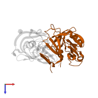 Renin in PDB entry 3oag, assembly 1, top view.