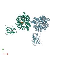 PDB entry 3oai coloured by chain, front view.