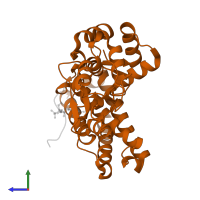 E3 ubiquitin-protein ligase CBL in PDB entry 3ob2, assembly 1, side view.