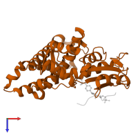 E3 ubiquitin-protein ligase CBL in PDB entry 3ob2, assembly 1, top view.