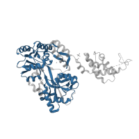 The deposited structure of PDB entry 3ob4 contains 1 copy of Pfam domain PF01547 (Bacterial extracellular solute-binding protein) in Bifunctional inhibitor/plant lipid transfer protein/seed storage helical domain-containing protein. Showing 1 copy in chain A.