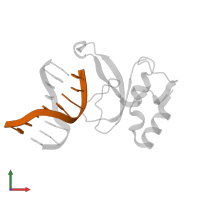 5'-D(*CP*CP*CP*AP*AP*GP*CP*G)-3' in PDB entry 3ode, assembly 1, front view.