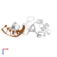5'-D(*CP*CP*CP*AP*AP*GP*CP*G)-3' in PDB entry 3ode, assembly 1, top view.