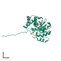 Monomeric assembly 1 of PDB entry 3oe5 coloured by chemically distinct molecules, front view.
