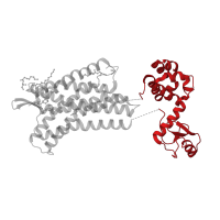 The deposited structure of PDB entry 3oe6 contains 1 copy of CATH domain 1.10.530.40 (Lysozyme) in C-X-C chemokine receptor type 4. Showing 1 copy in chain A.