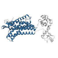 The deposited structure of PDB entry 3oe6 contains 1 copy of CATH domain 1.20.1070.10 (Rhopdopsin 7-helix transmembrane proteins) in C-X-C chemokine receptor type 4. Showing 1 copy in chain A.