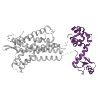 The deposited structure of PDB entry 3oe6 contains 1 copy of Pfam domain PF00959 (Phage lysozyme) in C-X-C chemokine receptor type 4. Showing 1 copy in chain A.