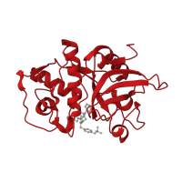 The deposited structure of PDB entry 3of9 contains 1 copy of CATH domain 3.90.70.10 (Cathepsin B; Chain A) in Cathepsin L. Showing 1 copy in chain A.