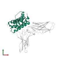 Interferon lambda-1 in PDB entry 3og6, assembly 1, front view.