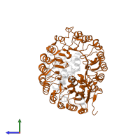 Coronatine-insensitive protein 1 in PDB entry 3ogm, assembly 1, side view.