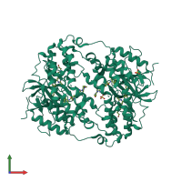 Homo dimeric assembly 1 of PDB entry 3oht coloured by chemically distinct molecules, front view.